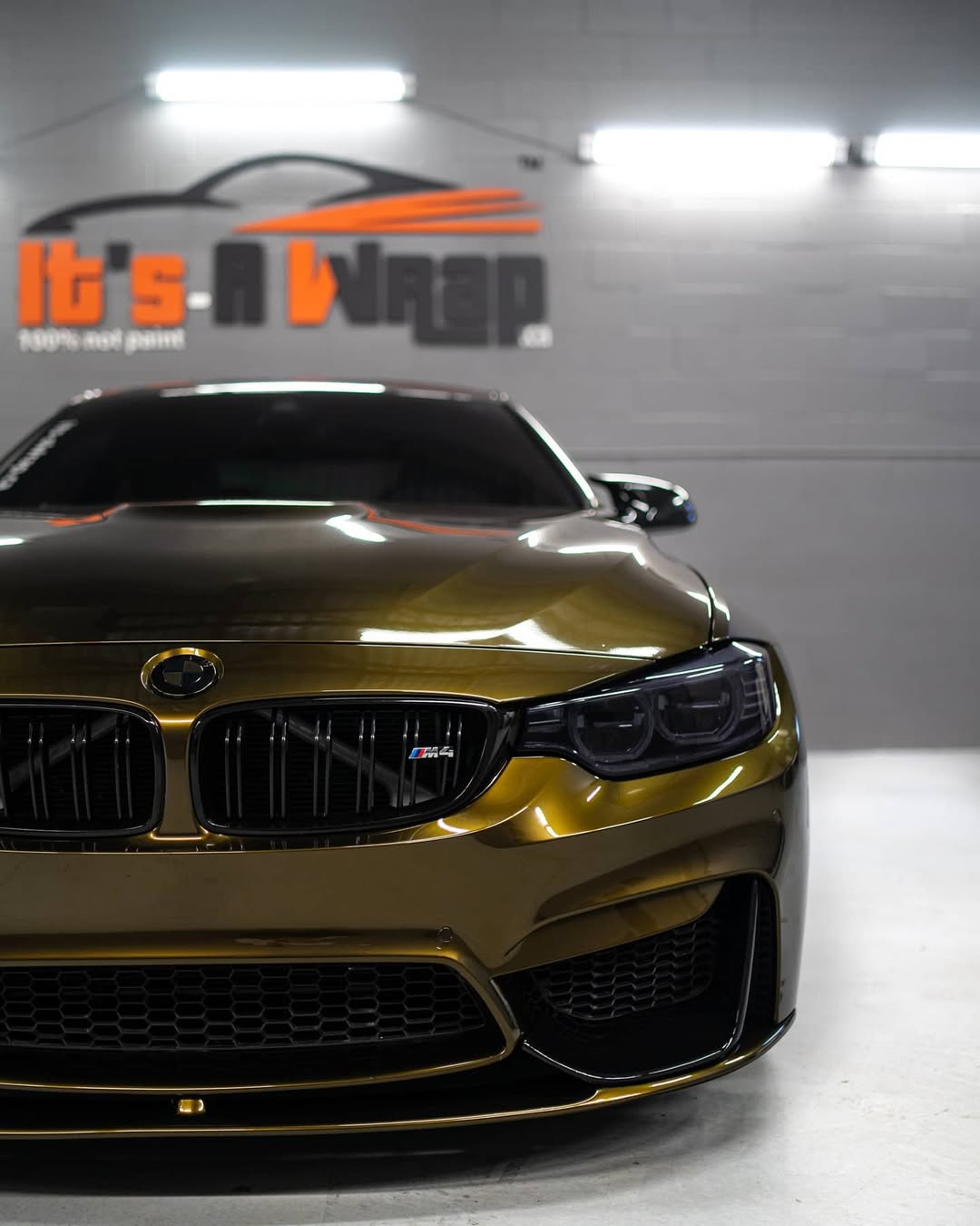 Base Gloss Metallic Midnight Gold