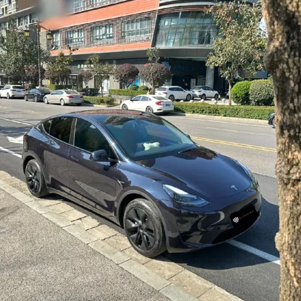 Ultra Gloss Metallic Black Blue Flakes