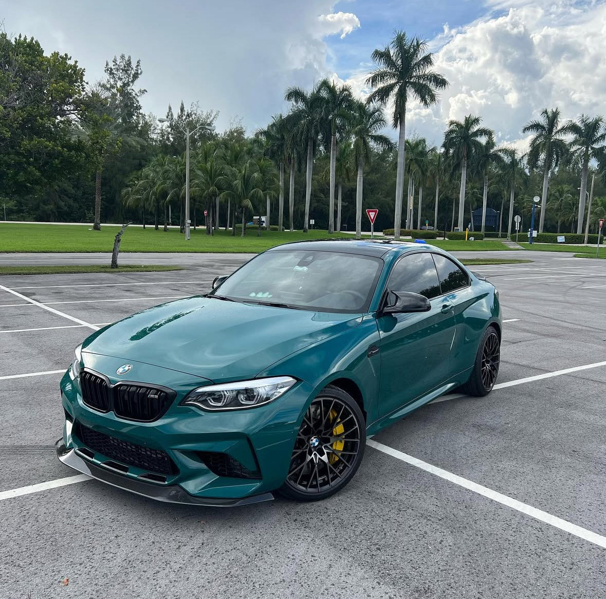 Ultra Gloss Pine Green