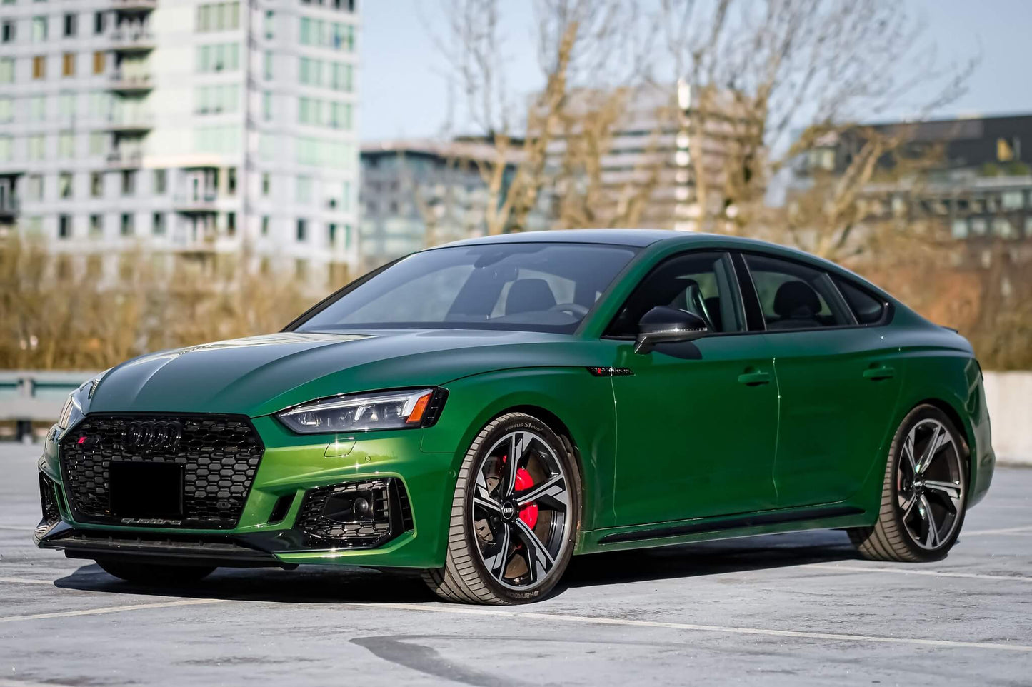 Ultra Gloss Metallic Audi Sonoma Green