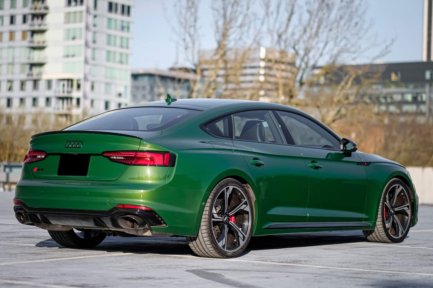 Ultra Gloss Metallic Audi Sonoma Green