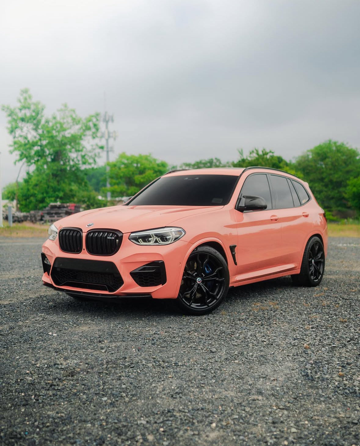 Ultra Gloss Piggy Pink
